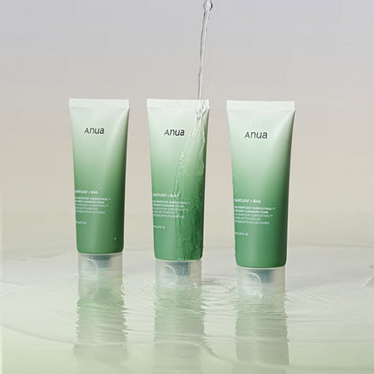 Heartleaf & Quercetinol Pore Cleansing Foam