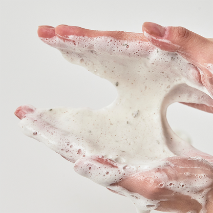 Heartleaf & Quercetinol Pore Cleansing Foam